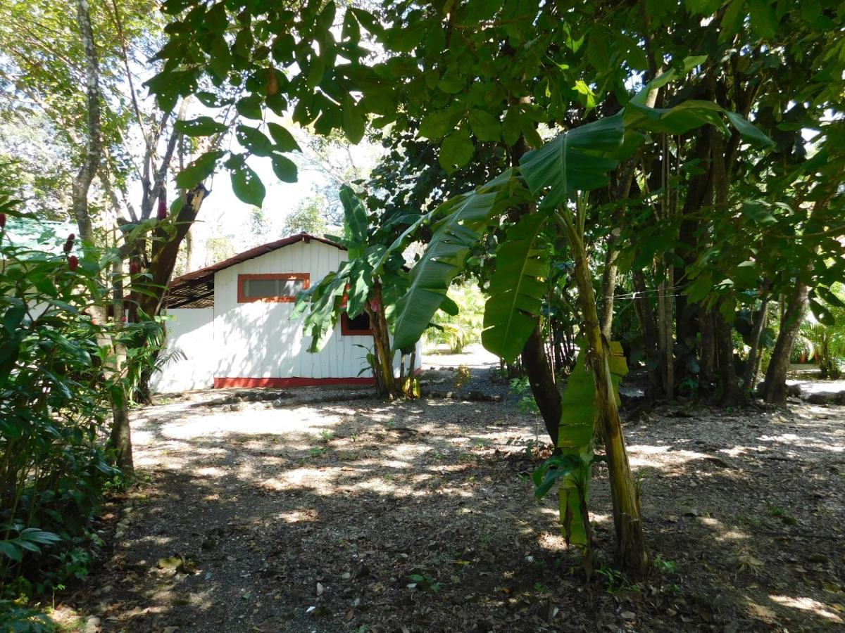 Villasjungle 1 Sámara Εξωτερικό φωτογραφία
